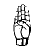 ASL finger spelling b