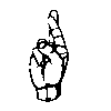 ASL finger spelling r